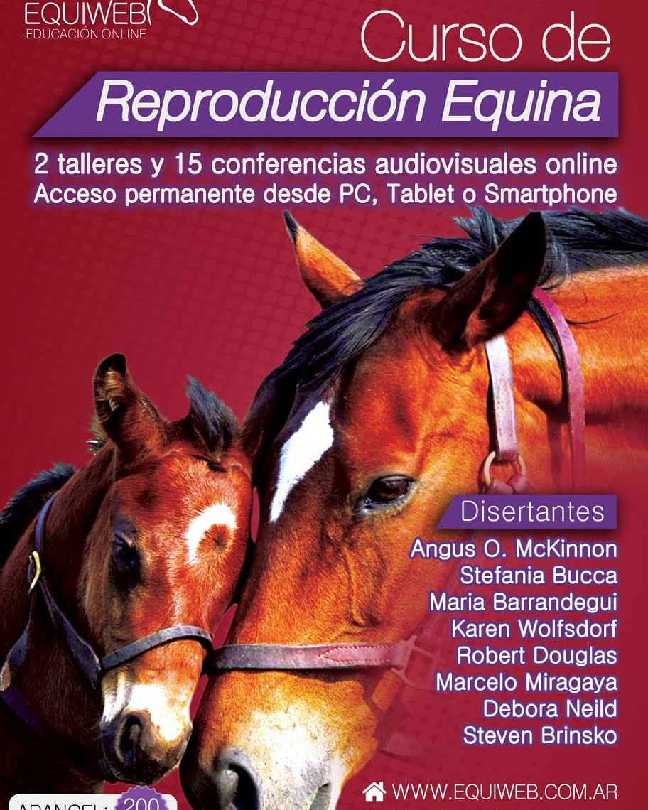 EquiVet_ARG's tweet photo. https://t.co/3V1PSWhVnE