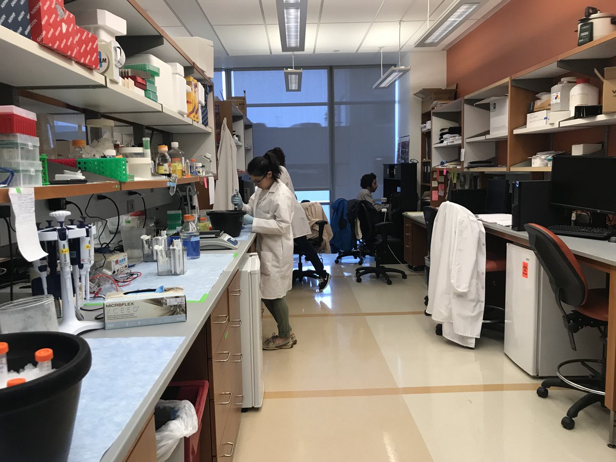 AcentechTweet's tweet photo. Getting chills! We just had the chance to tour CHOP's Buerger Center with the @labdesignnews conference. Nothing beats the feeling of seeing our projects put to use! #2018LDC https://t.co/FlIoUGNDih