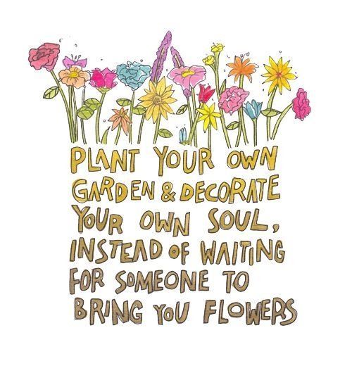 iamthatgirl's tweet photo. Plant your own garden 💛🌷 Decorate your own soul 🌻💗#wednesdaywisdom https://t.co/KSGuFx0zfL