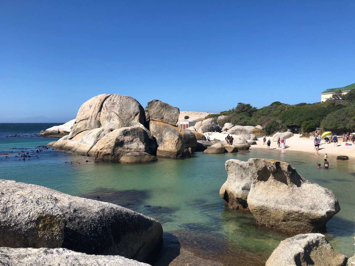 cazstapley's tweet photo. Happy #WorldPenguinDay

Got to meet these beauts at Boulders Beach, South Africa last month! AMAZING Place!!! 🐧🐧 https://t.co/dy2UO8sUc5