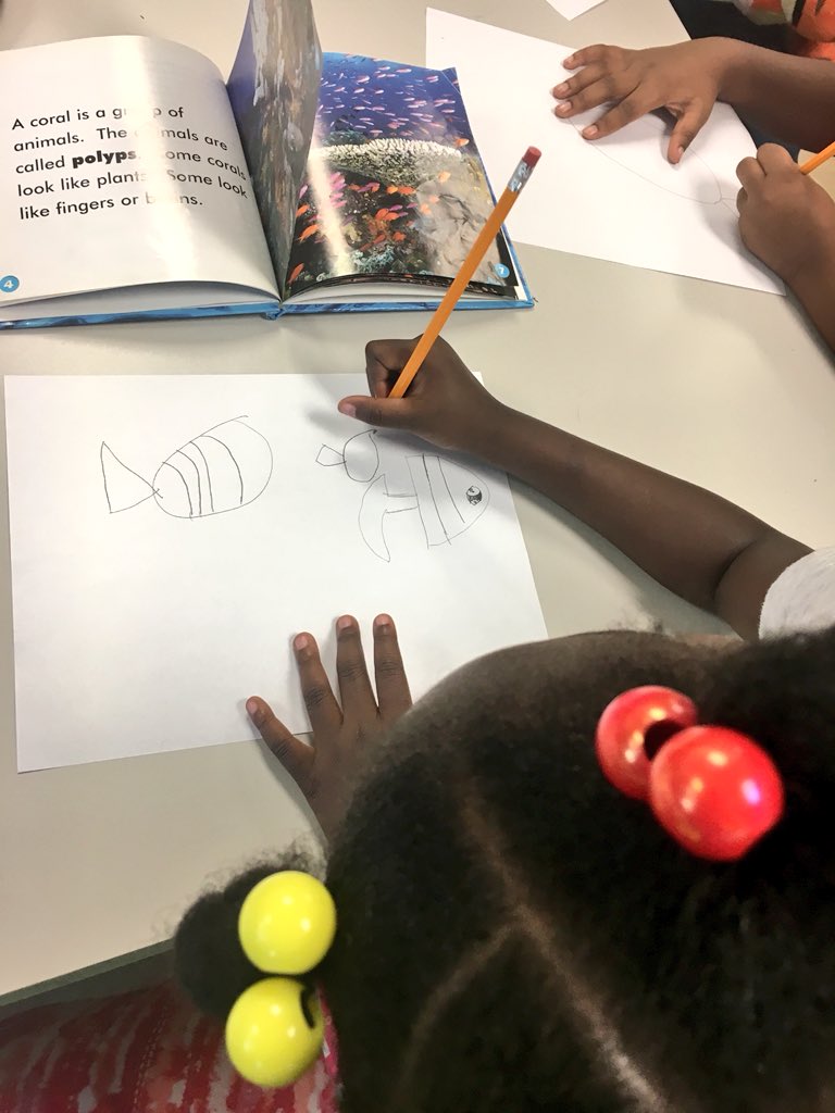KimCastellucci_'s tweet photo. We researched coral reefs and documented our findings! #inquiry #kinders https://t.co/wFmTNhVIlu