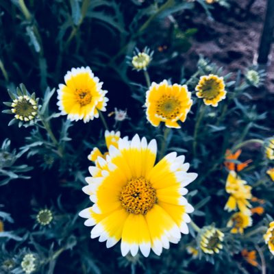 #NewProfilePic https://t.co/K9aeV3GGkk<a href="/tag/newprofilepic"class="tags">#NewProfilePic</a>