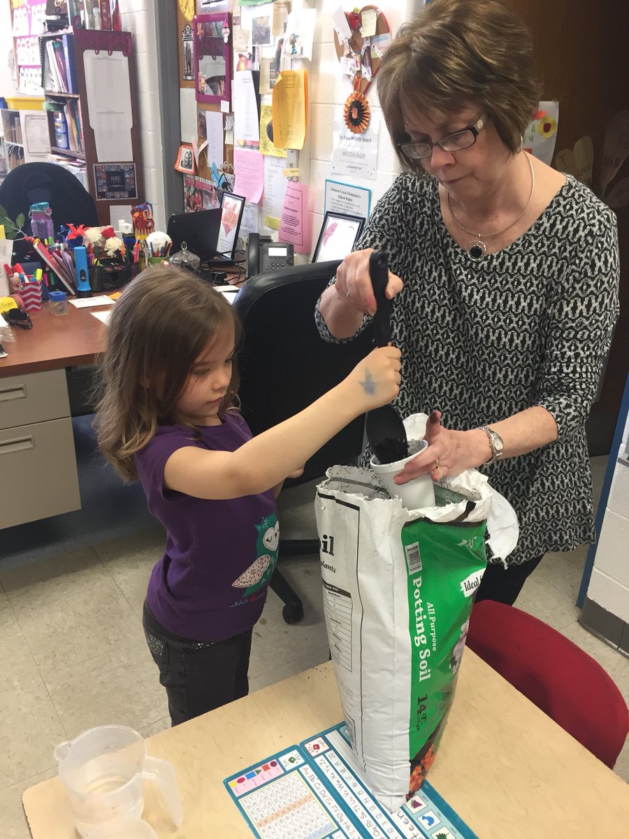 ChristaLeonardi's tweet photo. @ChristaLeonardi Learning how plants grow and planting seeds in science! 🌱☀️💦 #JCLEARNERS https://t.co/G2qzm87tpD
