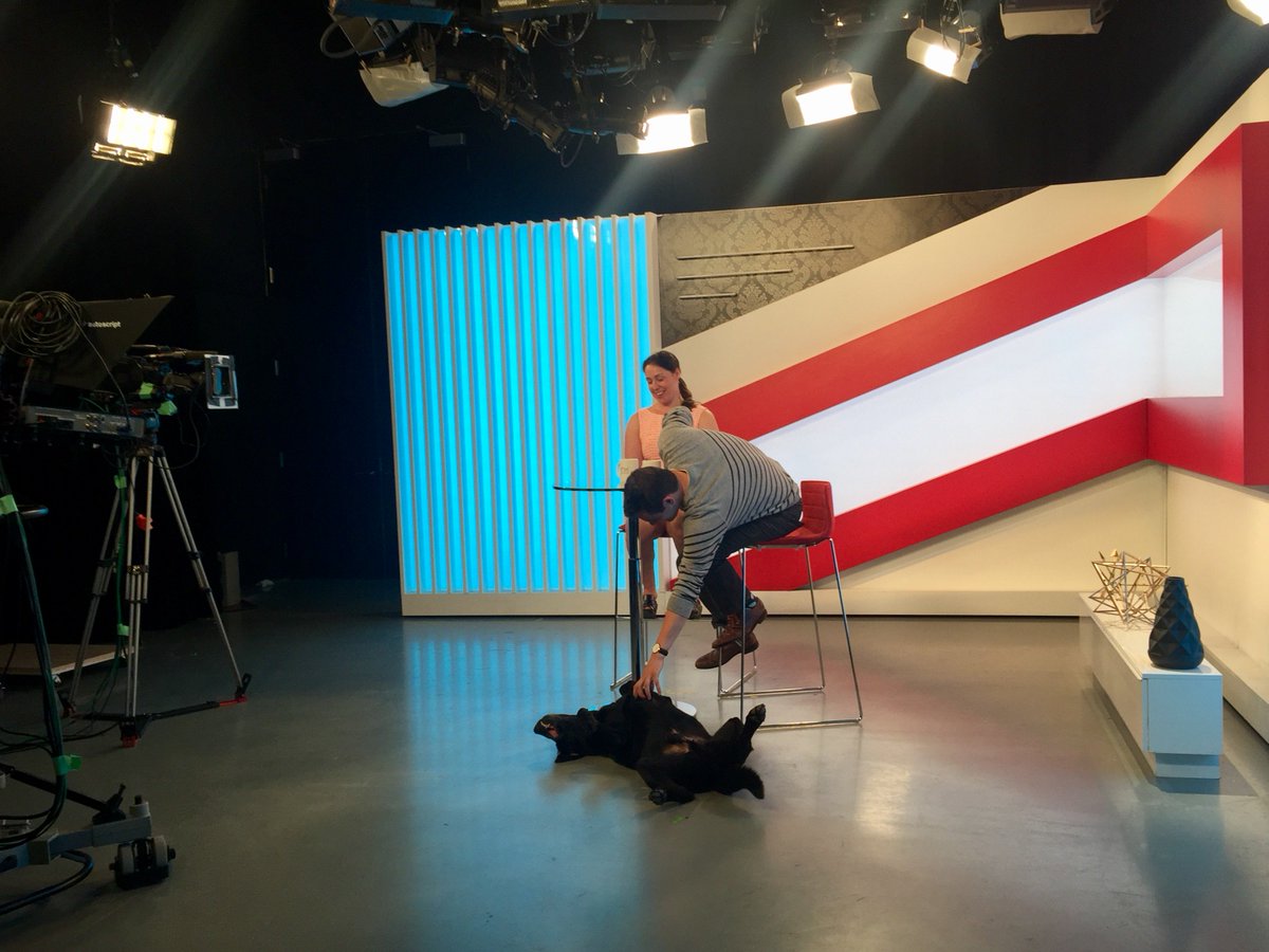 Victoria Nolan and Anthony McLachlan sit at a table on the set of AMI This Week, Anthony reaches down to give Alan, a black lab, a belly rub.