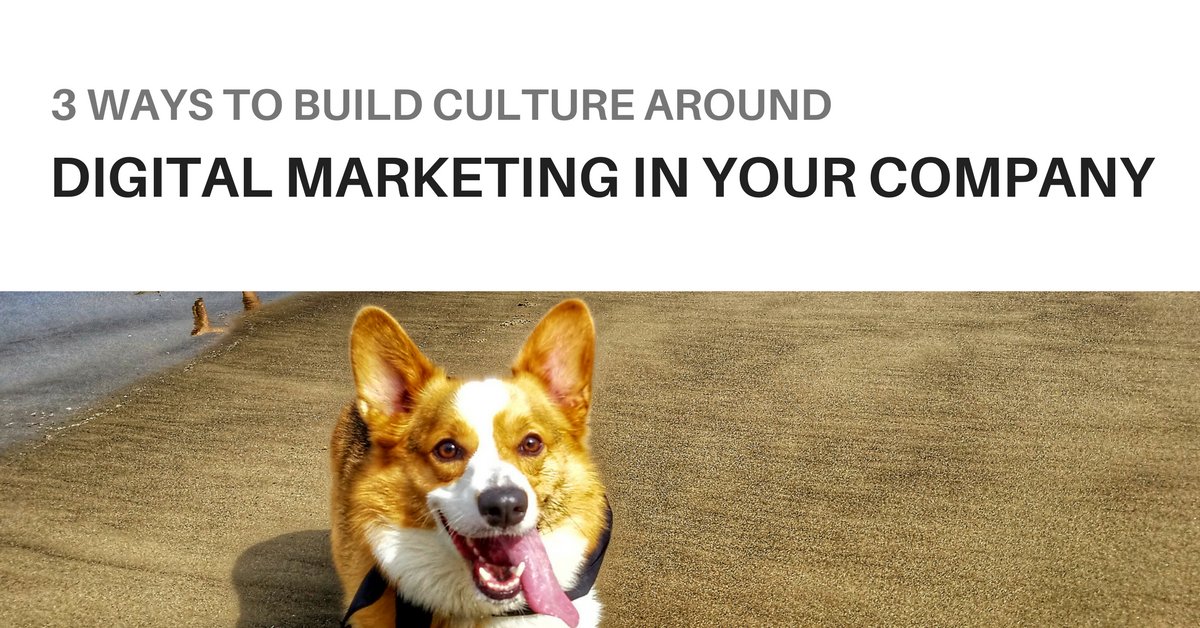 Scott Fish tweet media