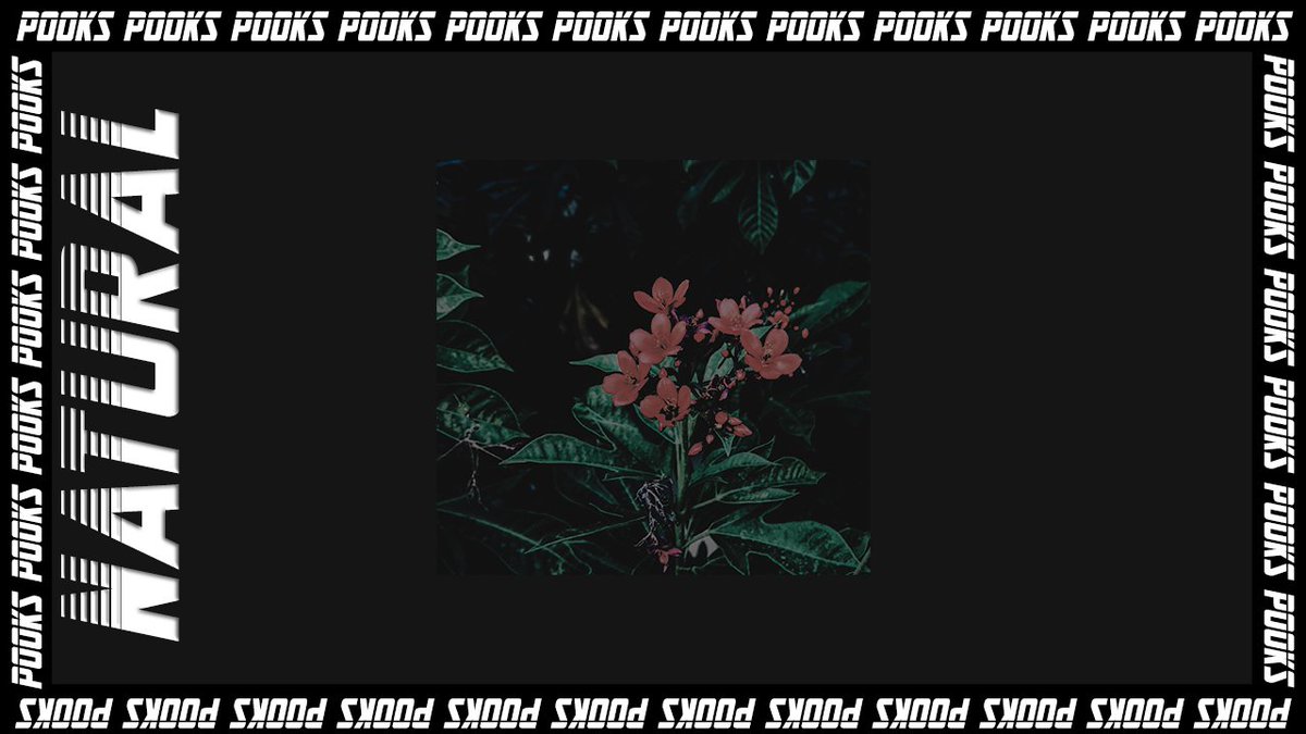 POOKSomnia's tweet image. Here's this weeks #Pooksomnia production // Natural // Check it out!
youtu.be/AvUpTcJkIjI