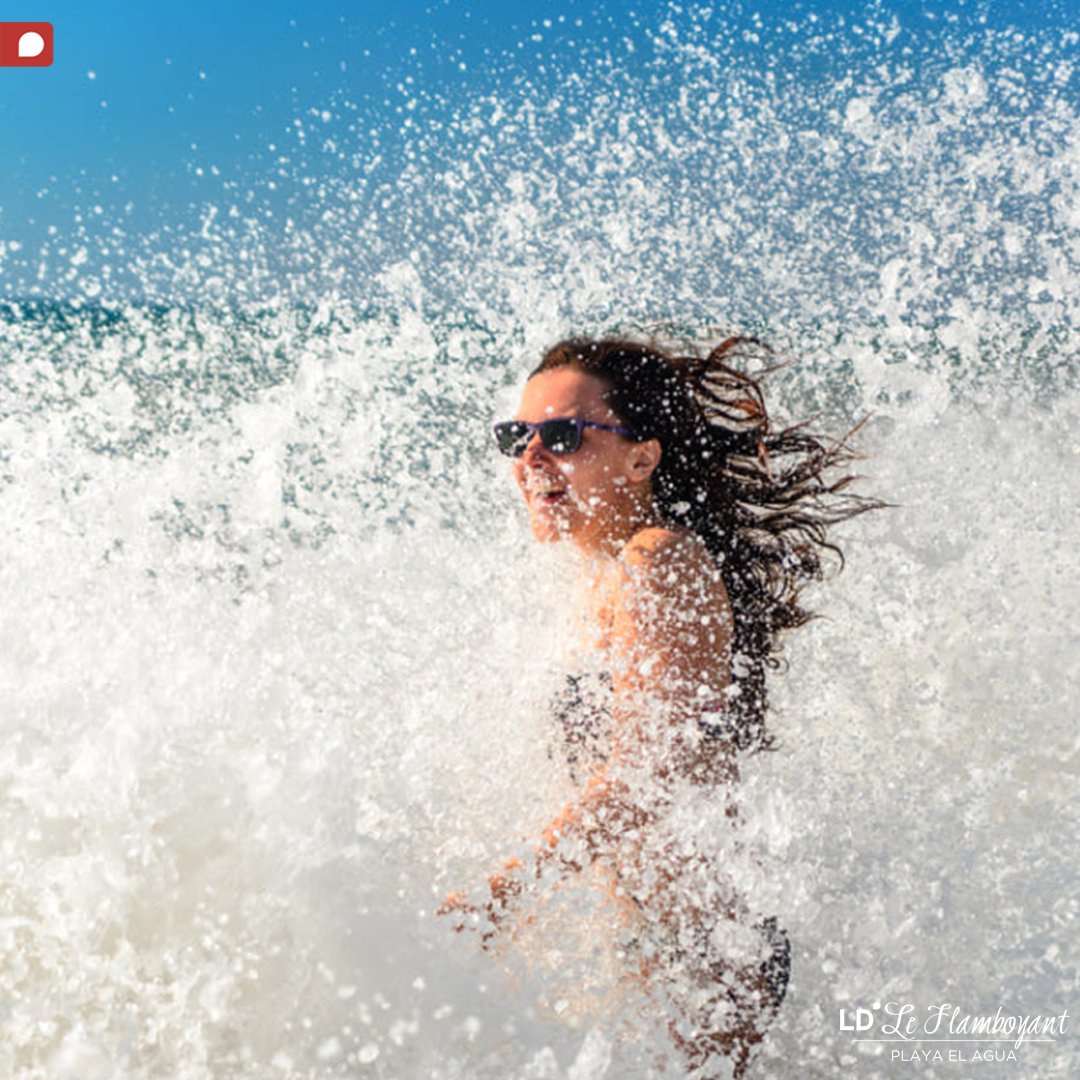 LDLeFlamboyant's tweet photo. Vive simple y sueña grande en #LDLeFlamboyant by LD Hoteles 
#PlayaElAgua #Venezuela #LD #LDHoteles #IsladeMargarita https://t.co/Qv1FiD5u7q