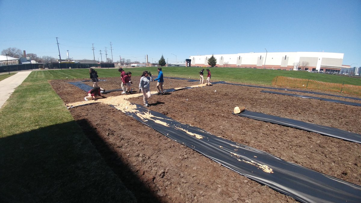bio_otoole's tweet photo. Third step was to cover the paths with wood chips. Students did an absolutely amazing job! #MortonPride https://t.co/3Uxx1KBLvF
