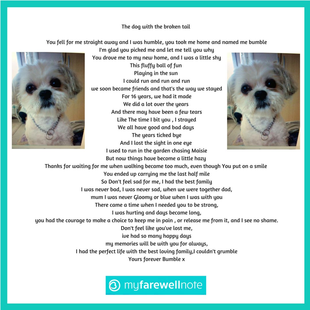 myfarewellnote's tweet photo. Not only is he the creator of https://t.co/Sy5Fqn3aD3 but @steve_mcilroy is also talented at poetry. This is a poem that he wrote about his pet dog 'Bumble' who sadly passed away #RIPBumble #poems #PoetryOutLoud #PoetryCorner #doglovers #dogsoftwitter #pets #PetsAreFamily #dogs https://t.co/1OhruXEGBa