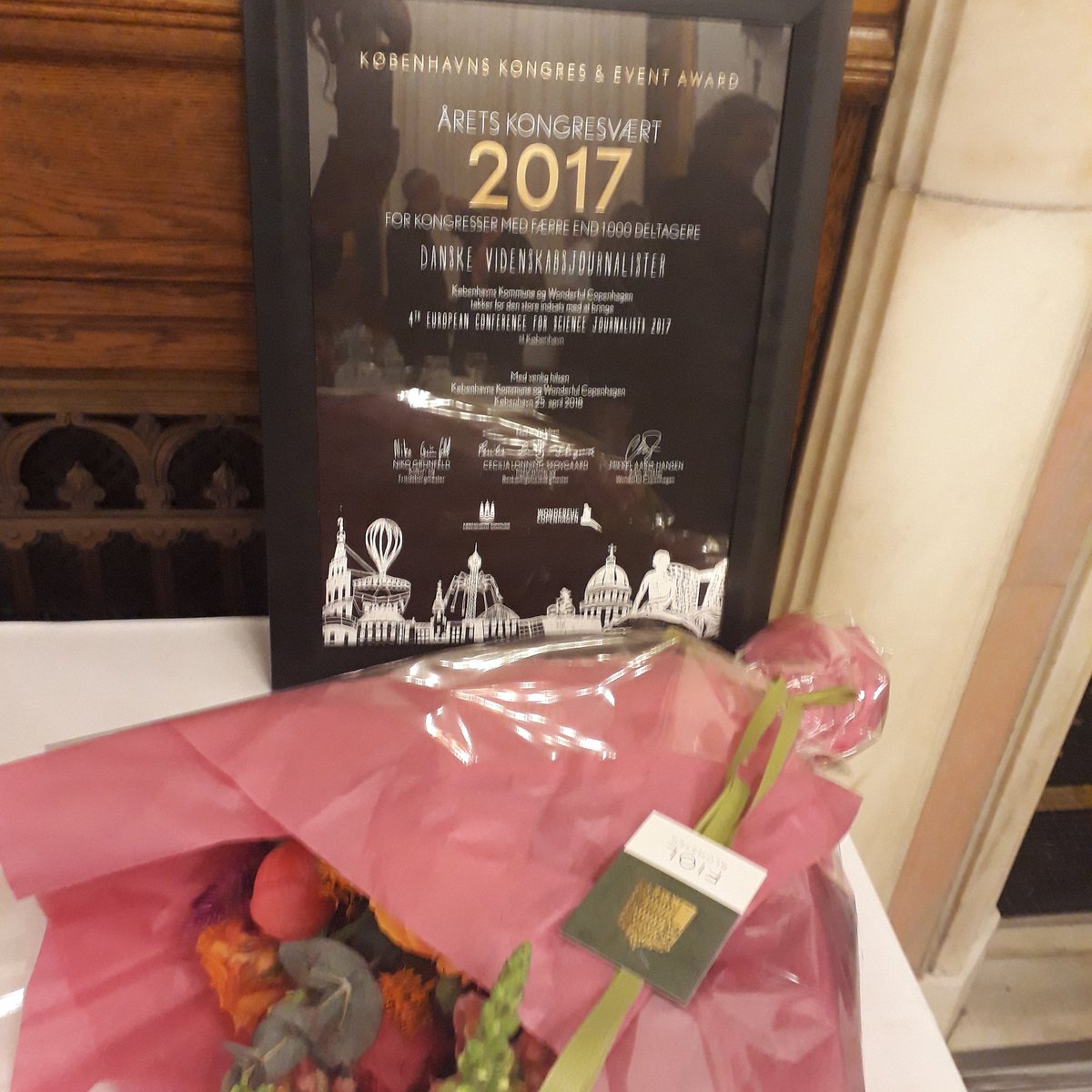 BeritViuf tweet media