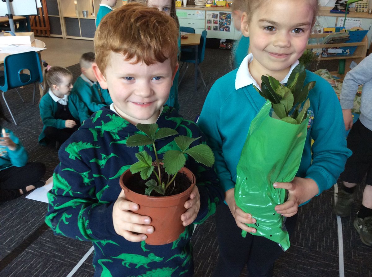 whitehouseps's tweet photo. Thank you so much for the plant donations 😊 Reception can't wait to do some gardening on Friday! @whitehouseps @NTCouncilTeam #outdoorlearning #UnderstandingWorld https://t.co/EvpOKlsDxp