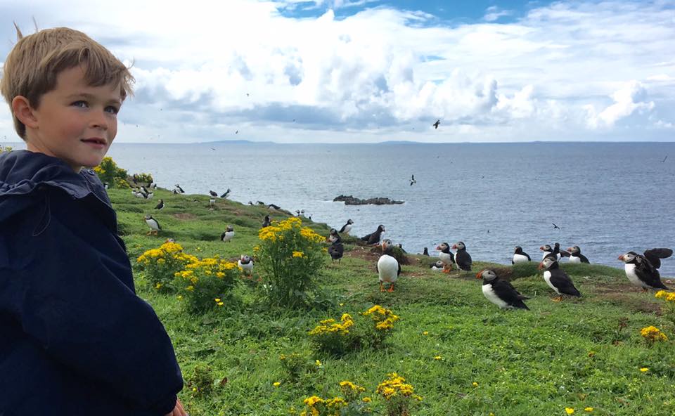 A2 Some #puffintherapy with @turusmara in the #Treshnishisles of course!  #scotlandhour