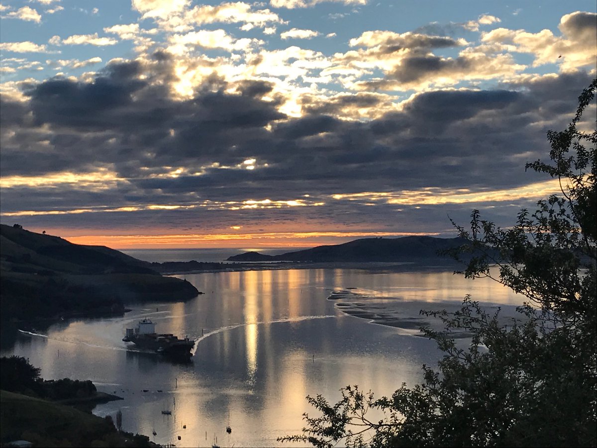 Lovey sunrise on the way in this morning #dunedin