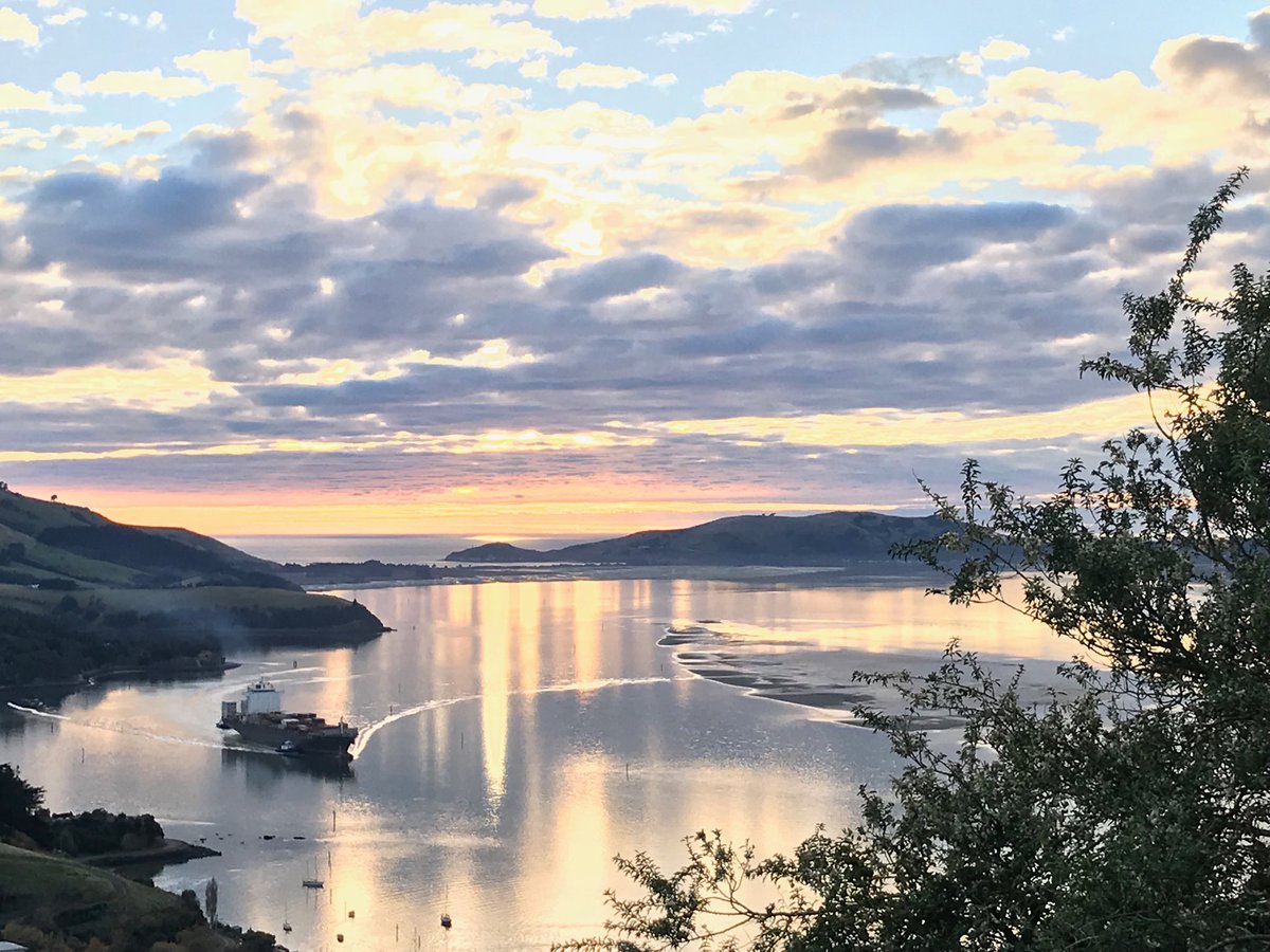 Another photo driving in this morning