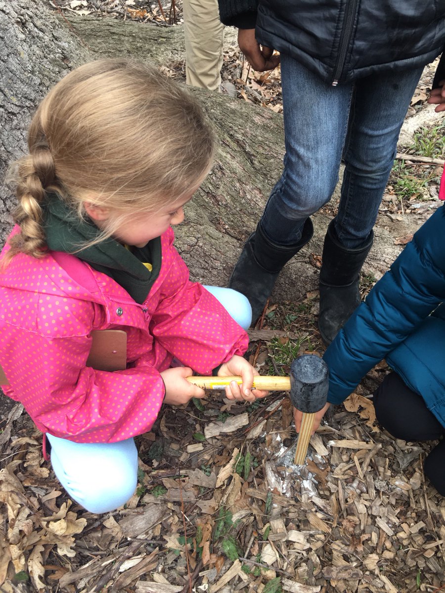 mrshahnk's tweet photo. We marked habitats in the Thurston Nature Center so that we can eventually track our butterfly population. #earthweek #butterflyproject https://t.co/e4N5YkCPgD