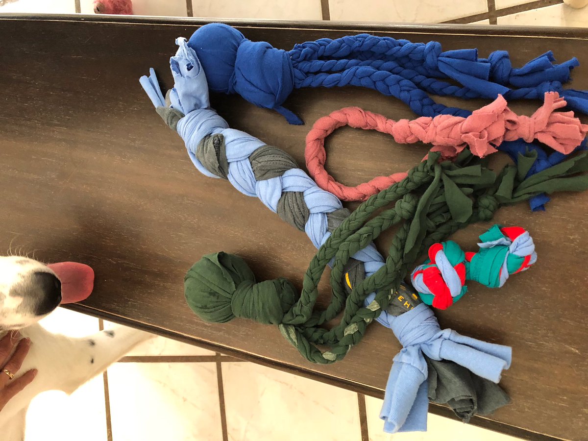 McNeilKeyClub's tweet photo. Thank you to everyone who helped make dog toys at yesterday's meeting!!🐶 https://t.co/A4LyMhZTxc