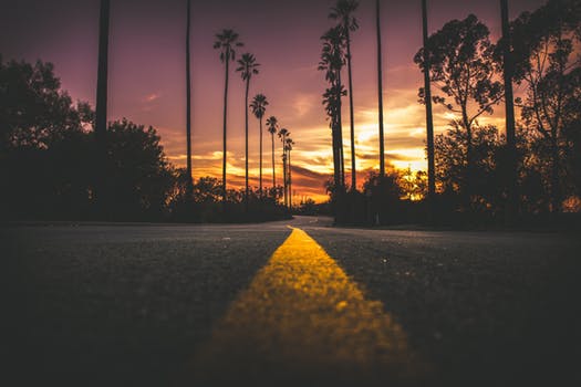 flitride's tweet photo. Life is much better when you don't have to worry about booking rides. With #Flit we never charge more based on demand for a ride and you can book rides up to a year in advance for free, that's right FREE. Start booking today at https://t.co/Tp1KQPaQmn #FTWS #OTC #stock  #Crypto https://t.co/kosj4GNwpO