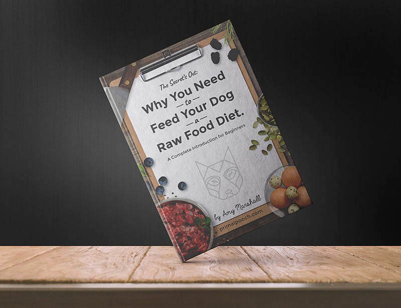 "Why You NEED to Feed Your Dog a Raw Food Diet" - This comprehensive eBook covers everything you need to know and it's FREE. Download now! primalpooch.com/why-feed-raw-d…