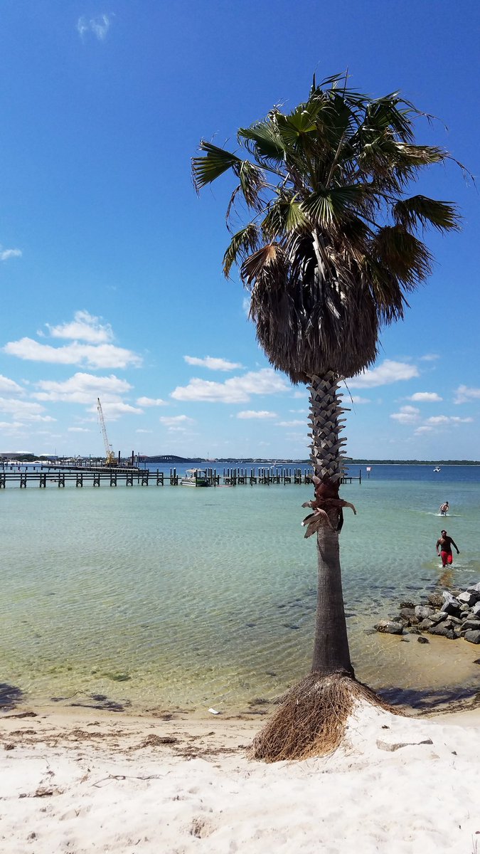 #Workflow #seriously #digging my #NewJob 😎🌴 #sandsunsurf