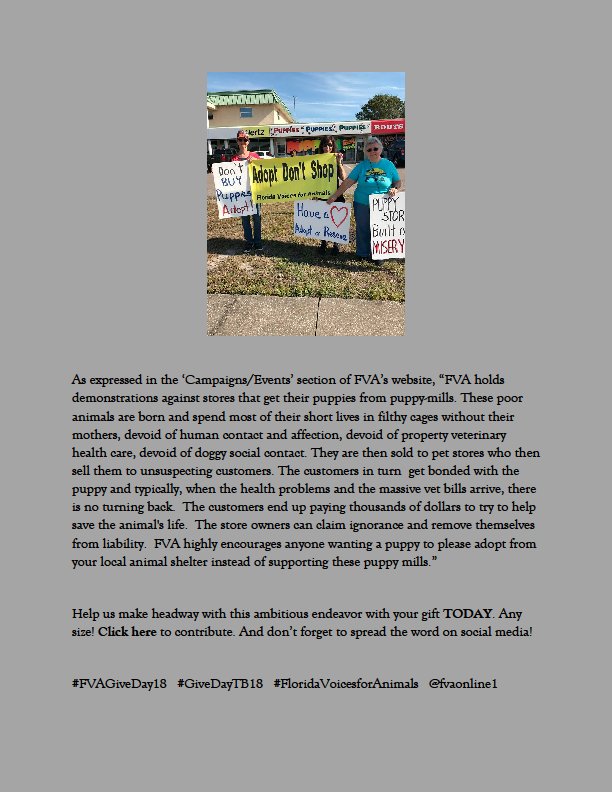 So why a billboard? Here's why.
Show your support today for FVA's Give Day fundraiser: givedaytampabay.mightycause.com/story/Vqcglf