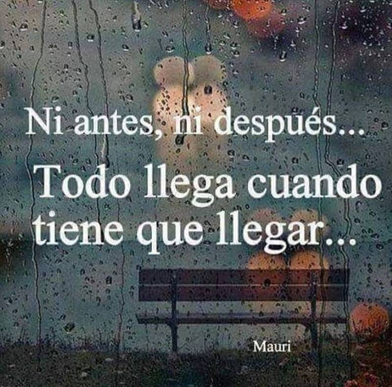 ¿Les ha pasado?  

Si tu respuesta es positiva, déjame decirte que tengas paciencia pues cuando menos lo esperes eso que tanto anhelas para tu vida llegará.... 

Ten siempre tus brazos abiertos y prepárate para recibir la felicidad

Feliz sábado #Comunidad