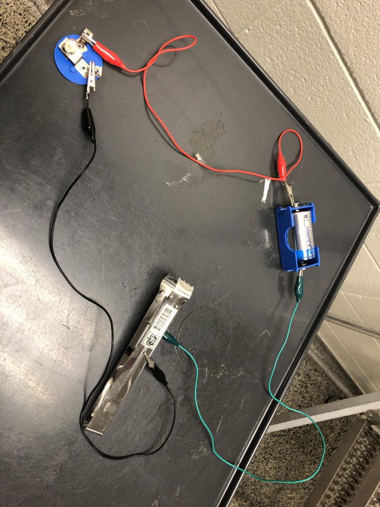 Holly Conroy tweet media