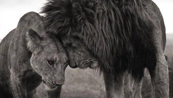 Brent Janse van Vuuren tweet media