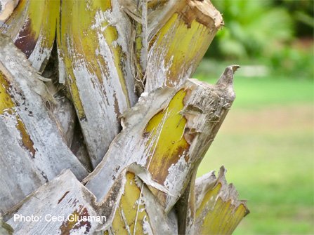 creativityworkshop.com
“Find the time, permission, and nourishment to keep your imagination alive.” The Creativity Workshop