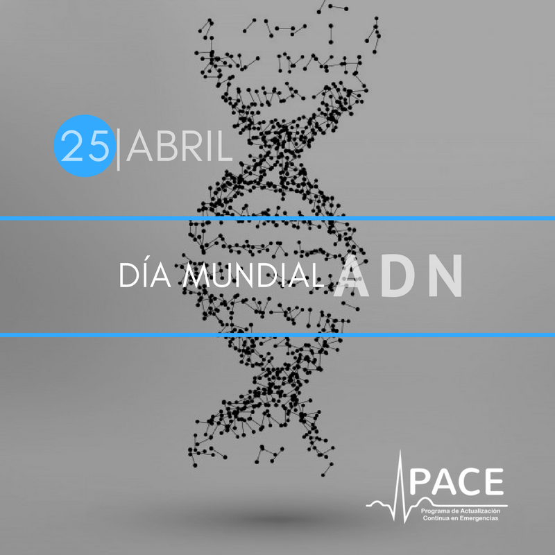 <a href="/PACEMD/">PACE Salud Mundial</a> se suma a la conmemoración del Día Mundial del ADN.
'Antes pensábamos que nuestro futuro estaba en las estrellas. Ahora sabemos que está en nuestros genes'. #SomosPACE