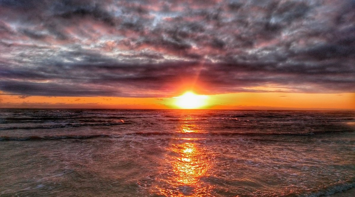 Chris Garner tweet media