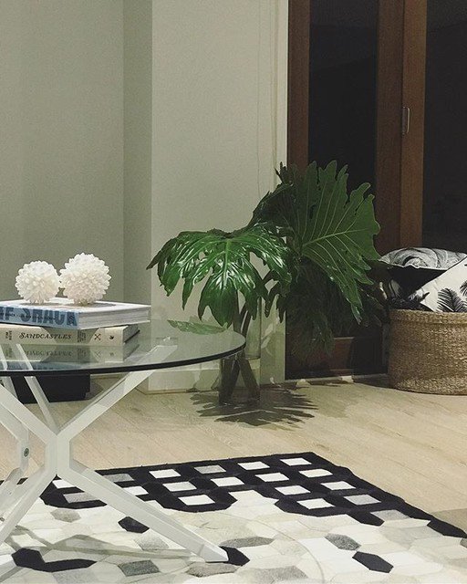 JenTayHome's tweet photo. Reposting @coastalvibes_home: - via @Crowdfire
These monsters!! 🌱 .
.
.
#interiordesign #instahomes #myhome #homedecor #proudhomeowner #plants #rugs #henleyhomes #instagood #pocketofmyhome #interior_design #interiors4all #myplace #coastalhome #homeinspo #decoranddesign https://t.co/DuVkvm2kw3