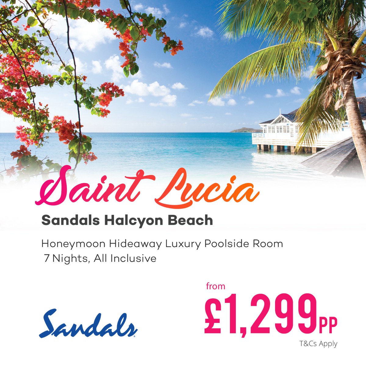Holiday_Hamster's tweet photo. ☀️🌴 Book your HALF PRICE Sandal's #Luxury #Holiday today with Holiday Hamster. 🌴☀️
Call Now 📞 08000 988 955 https://t.co/4AUPELhn5G