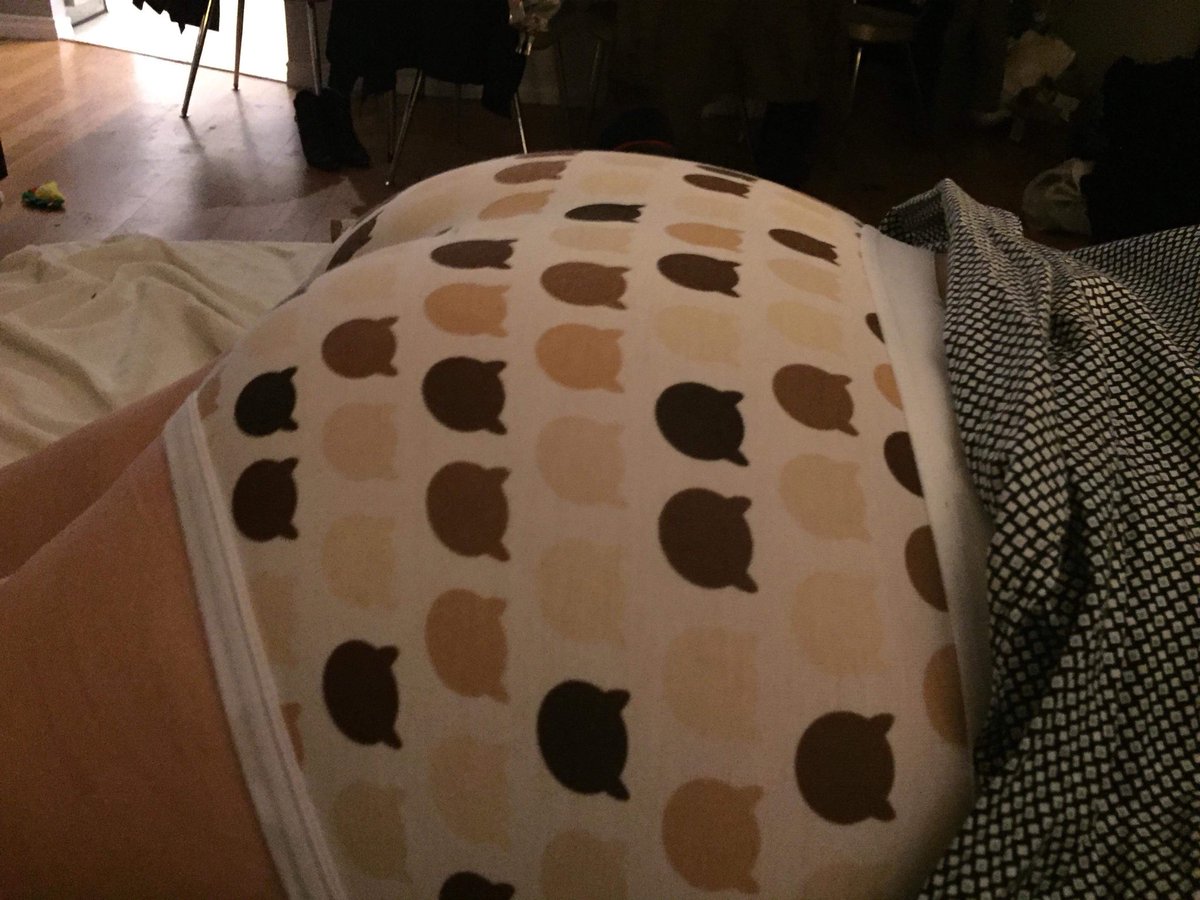 WetcoastKat's tweet image. Adorable kitty pants viewed from spanking position over Flick's lap. Was still wearing dress shirt and tie. #dapperaf