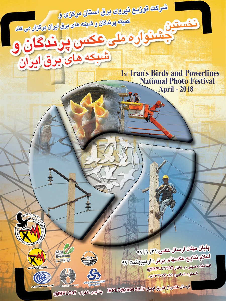 IBPLC2017's tweet photo. IBPLC is holding "Iran's First National Photo Festival" with the aim of attracting public attention and raising awareness of experts. This photo festival issue is interaction between birds and #power_lines with emphasis on conflicting aspect of this coherence on birds. https://t.co/fNqCNrIJZ9