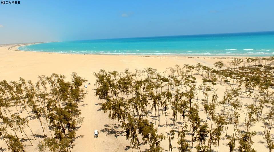 CoopSomalia's tweet photo. Living in Peace in Adalle Village in Middle Shabelle Region of Somalia, where Fishery Cooperatives are waiting for Development Aid. https://t.co/9I8Vpnj8qi
