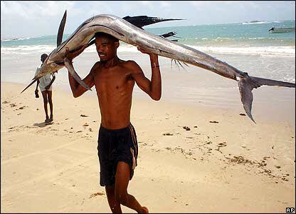CoopSomalia's tweet photo. Living in Peace in Adalle Village in Middle Shabelle Region of Somalia, where Fishery Cooperatives are waiting for Development Aid. https://t.co/9I8Vpnj8qi