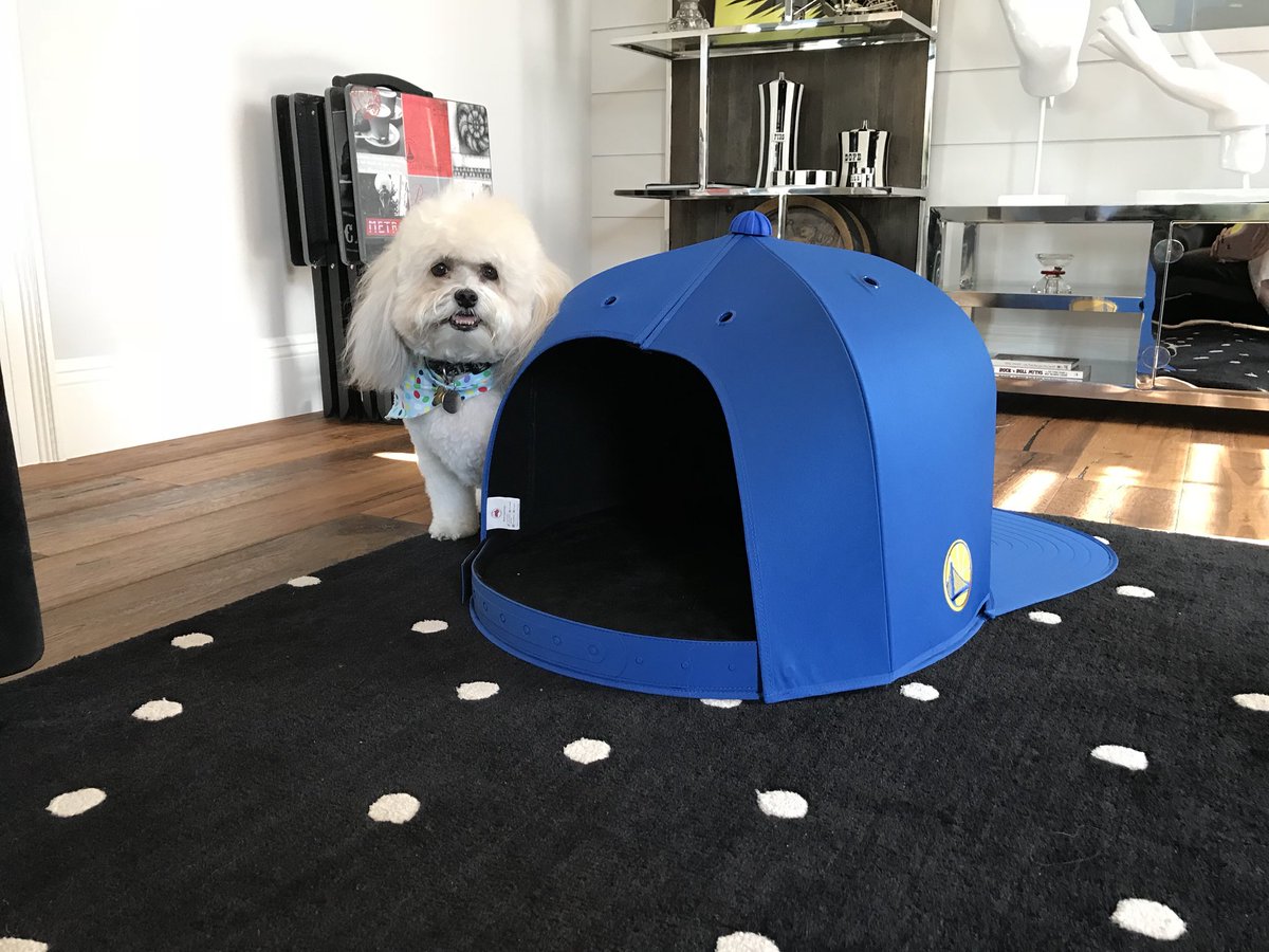 Melanyb12's tweet photo. Yay! @SirTeddyBrewski celebrating the @warriors win in his @_napcap! #warriors #dubs #napcap https://t.co/CTqOUB6kvQ