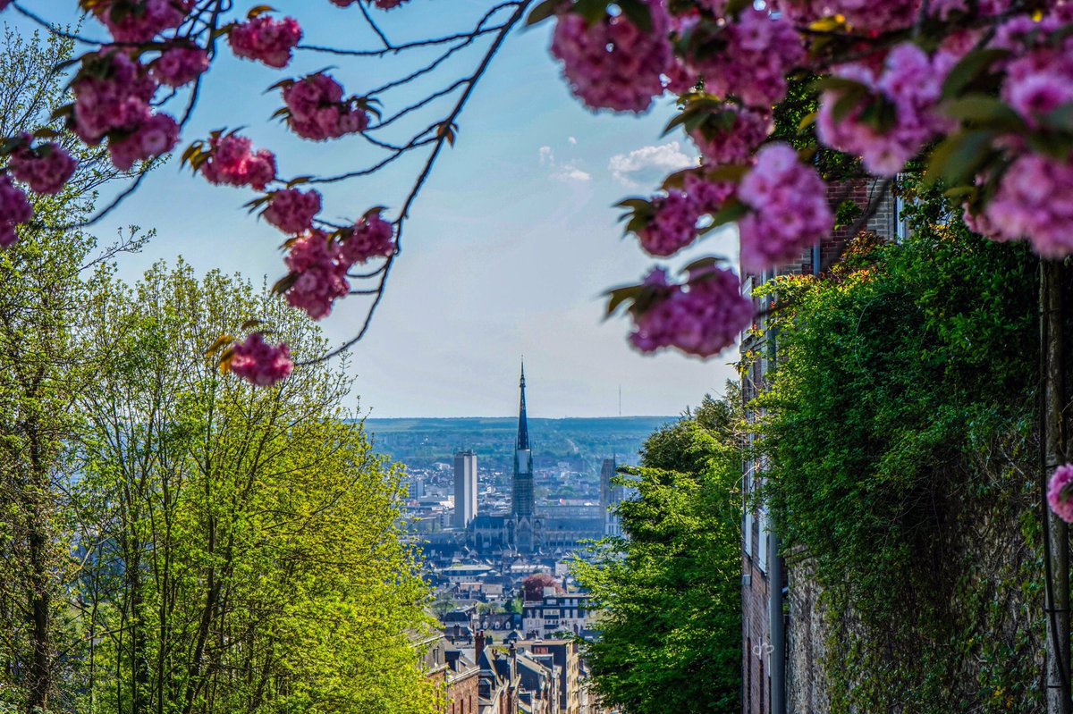 6yril's tweet photo. #Rouen #RouenTourisme #Normandie #Normandy #France #JaimelaFrance #BeautifulFrance https://t.co/5RbWzOM8Ag