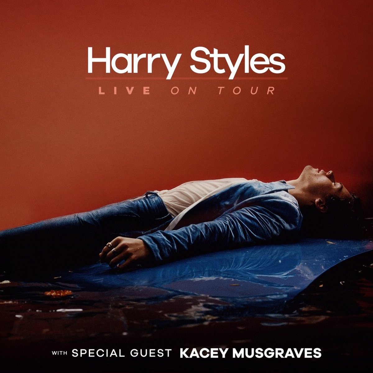 FloralAndAdidas's tweet image. I’ve got a new plan to not only make my life easier, but to make the arena even more beautiful during Two Ghosts! I’m adding the Pansexual flag to the floor (the pit will have signs)! If you’re going to Harry’s Atlanta/Duluth show, please dm me if you can help. @homefromnarnia