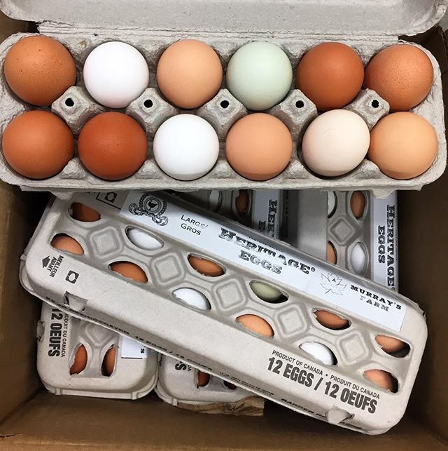 mustardseedcoop's tweet photo. Heritage chicken eggs from @murraysfarm in house today! These eggs come from #pastureraised π in #cambridgeontario !
#supportlocal #hamont #foodcoop #heritageeggs #murraysfarm https://t.co/BVkH4wmtQS https://t.co/6rnRBHWaTA