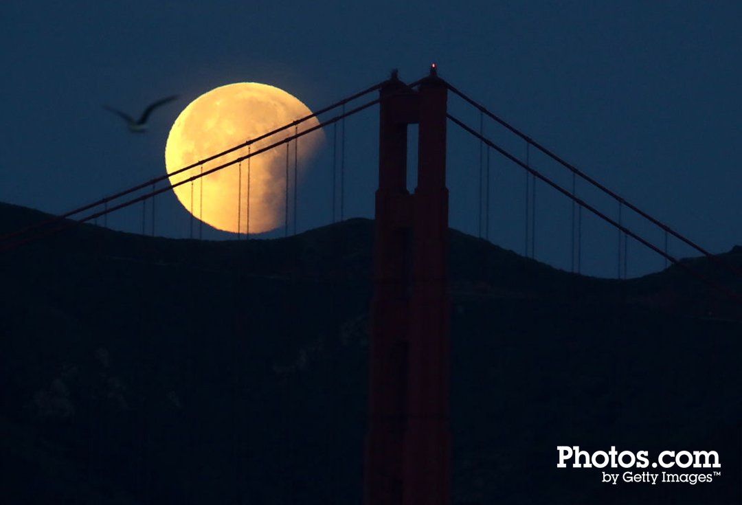 Photos by Getty Images tweet media