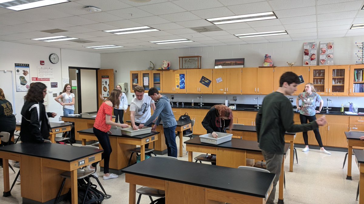 WestSciGuy's tweet photo. Lots of competition and nest guarding when West Bio students test how effective their beak design is in different environments #WestSTEM #Naturalselection #biology @FlinnScientific https://t.co/3esQybBwp8