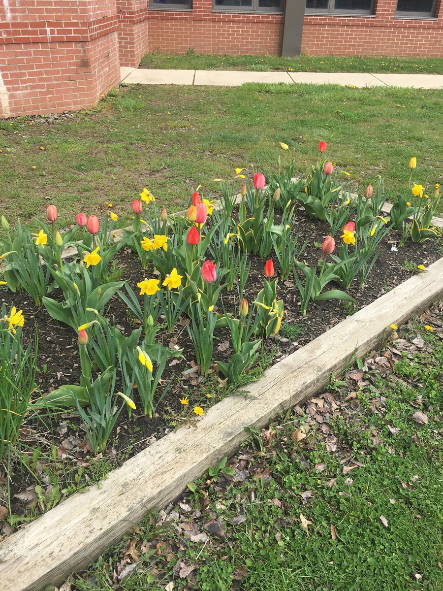 Mrsmkleman's tweet photo. ADE’s flowerbed💗 @AltonDarby #ADEhappy https://t.co/CDvvnVhQYo