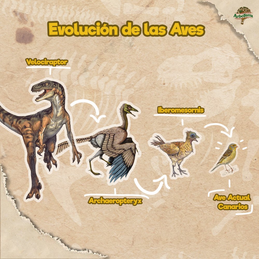 ArboTerra on Twitter: ArboTerra on Twitter: