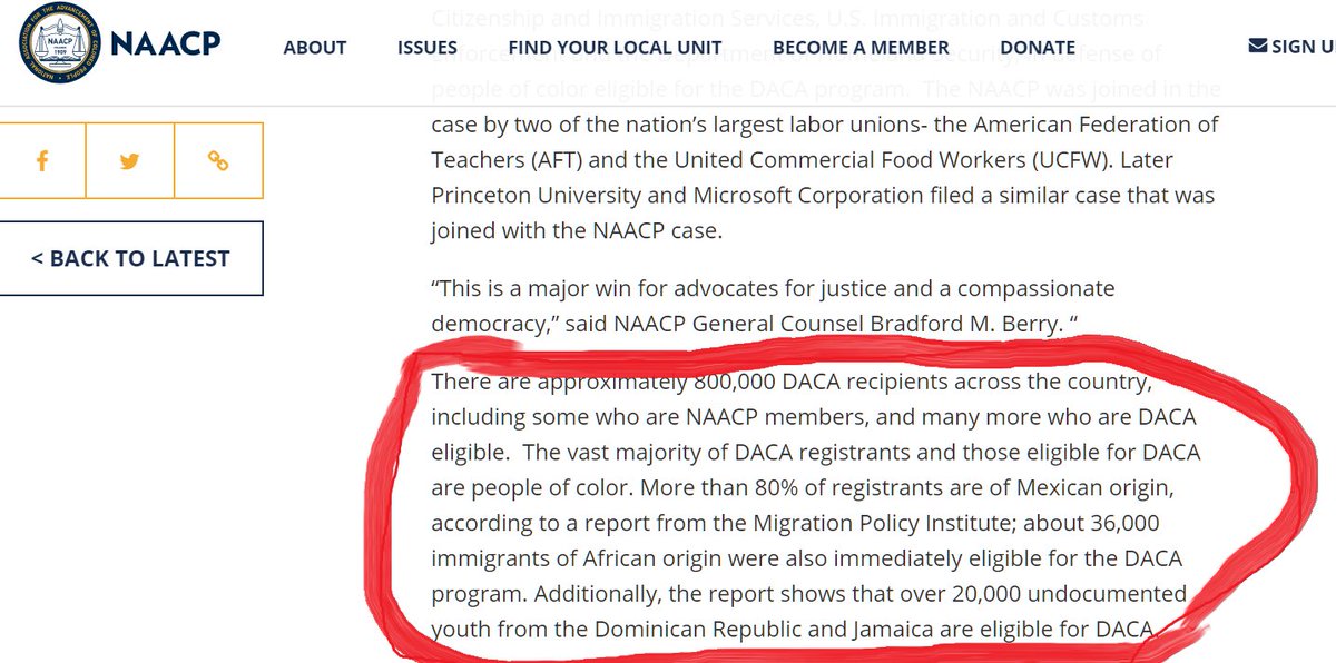 glenthecreator's tweet photo. #NativeBlacks #AfricanAmericans/#DescendantsOfSlaves of #ChattelSlavery we have to wake up to the realty that #NAACP @NAACP was never put in place to fight for us.Their Members are #IllegalImmigrants who are fighting for #DACA but not for us.#ReparationsForAfricanAmericans. https://t.co/tCkCgQXpAS