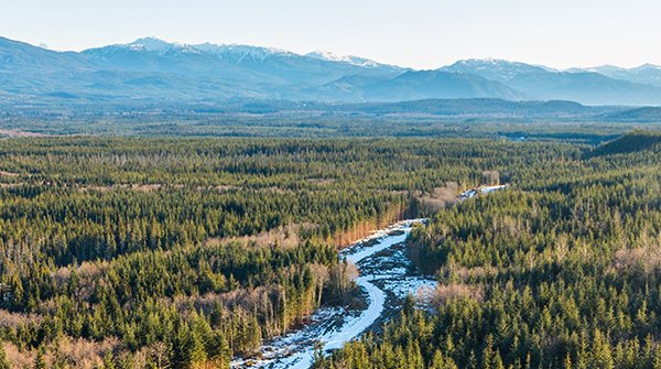 CanadaGasLNG's tweet photo. Read the great interview with @FirstNationsLP on why partnerships with #FirstNations are integral to grow the Canadian #LNG industry https://t.co/hbe31Zki3v https://t.co/U99E8VnjI2