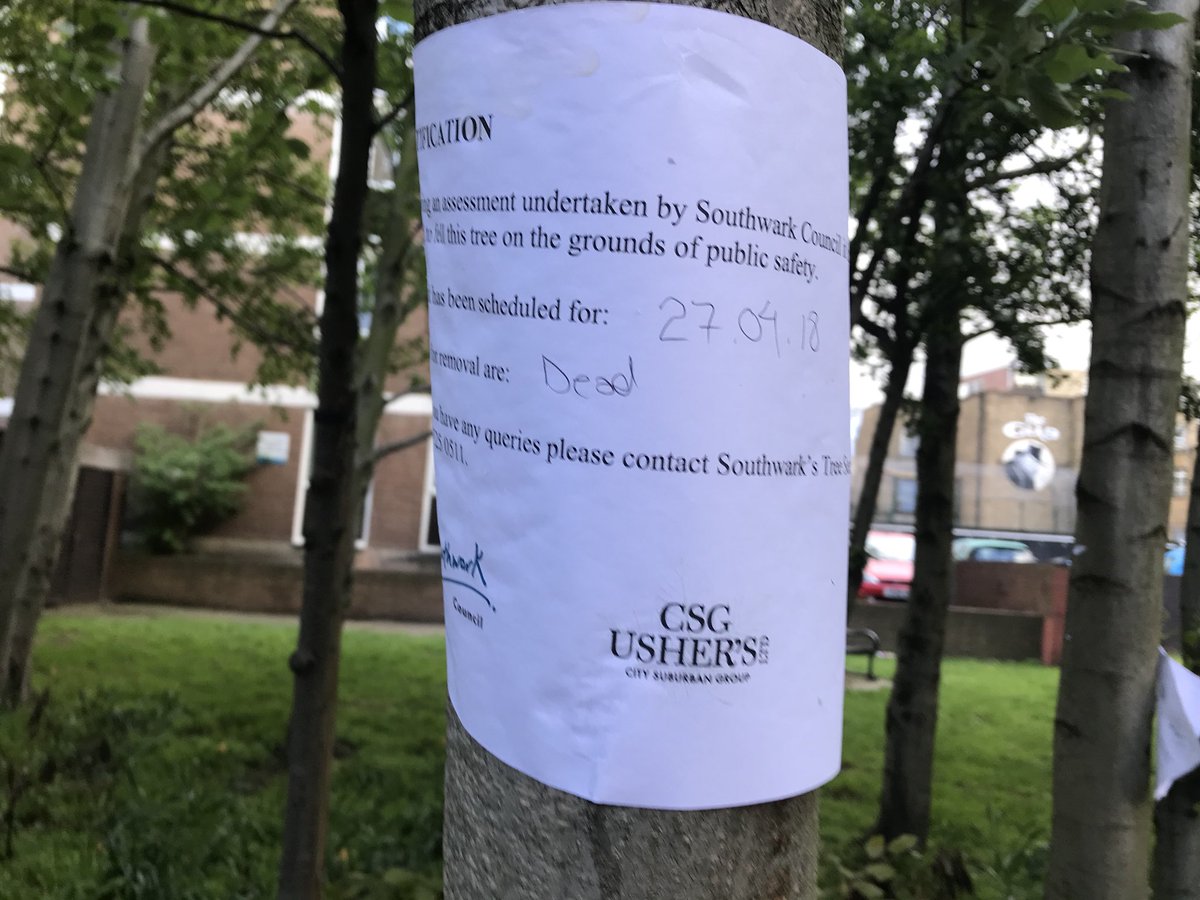 guyshrubsole's tweet photo. What the hell, @lb_southwark? 5 trees marked as being ‘dead’ on Borough High St &amp; scheduled for the chop. Err, these trees are not dead! Learned nothing from #SaveSheffTrees? https://t.co/rqSz8If9uj