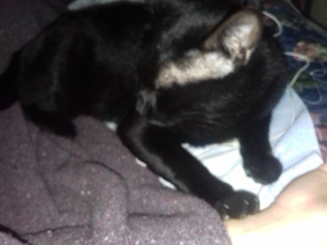 GreiserGre's tweet image. Tu me das todo para seguir! 💙