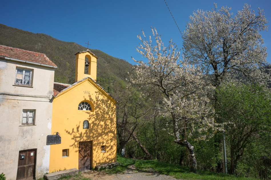 MkcPoli's tweet image. A #Carsegli #CaseVecchie piccolo paese della #ValPentemina nel @parcoantola fanno da corona vecchi #castagni #secolari #AlberiMonumentali