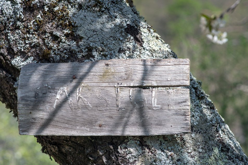 MkcPoli's tweet image. A #Carsegli #CaseVecchie piccolo paese della #ValPentemina nel @parcoantola fanno da corona vecchi #castagni #secolari #AlberiMonumentali